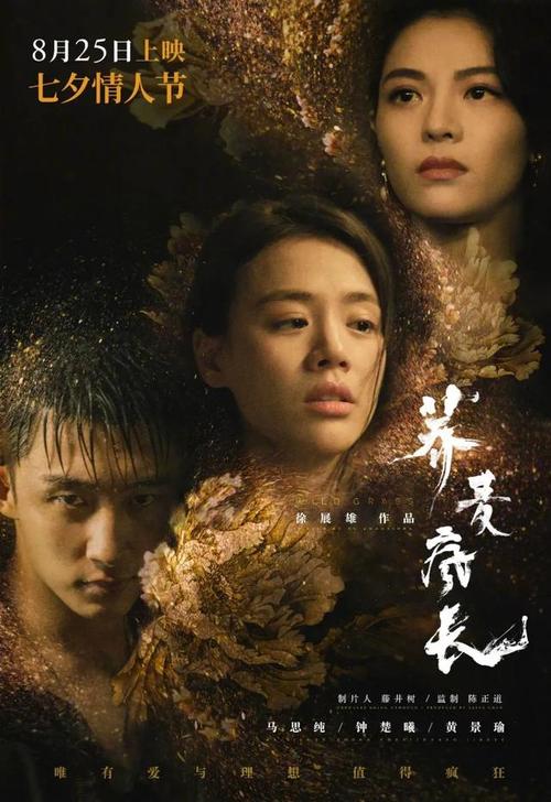 三一音乐学院证书